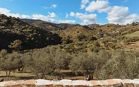 Finca Elements